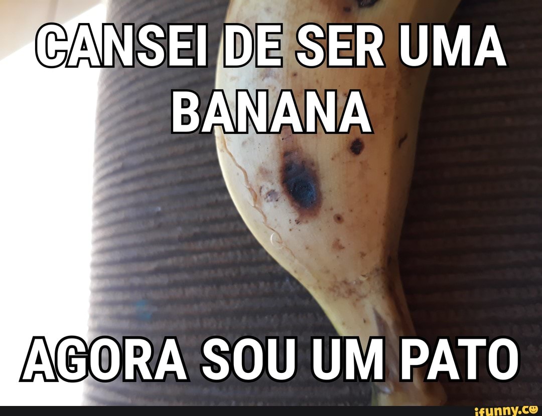 AGORA SOU UM PATO