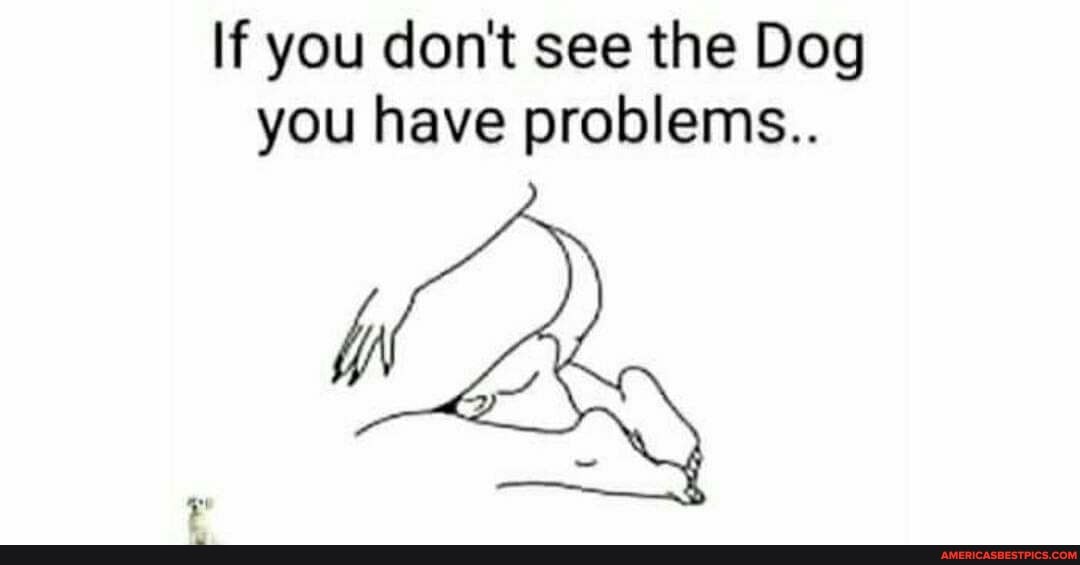If you don't see the Dog you have problems..