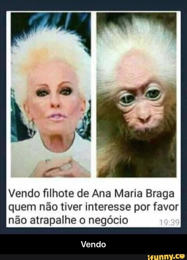 Vendo filhote de Ana Maria Braga
quem não tiver interesse por favor
não atrapalhe o negócio - Vendo
