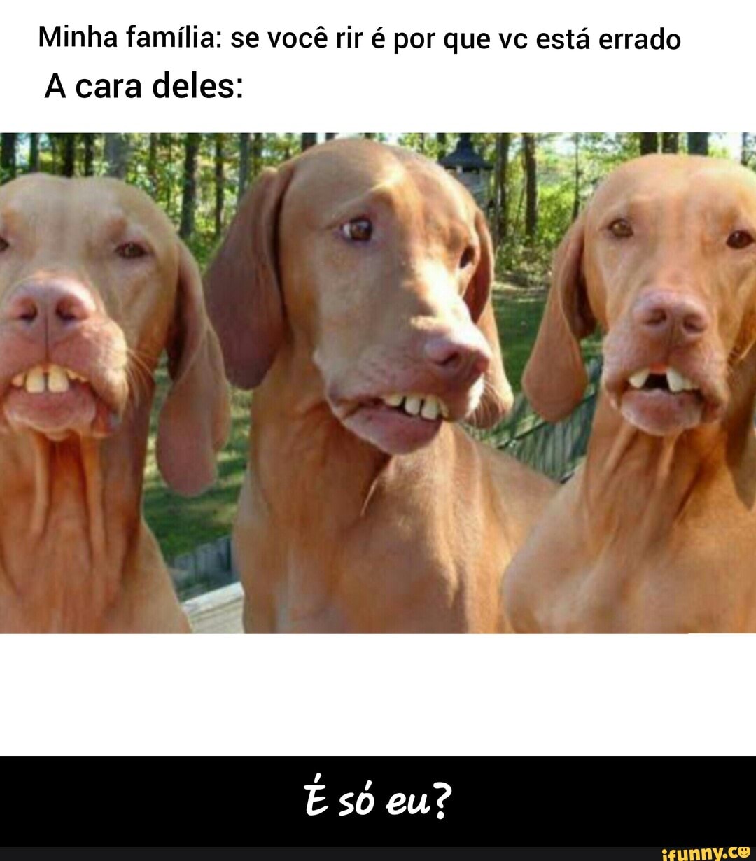Minha família: se você rir é por que vc está errado
A cara deles: - É só eu?