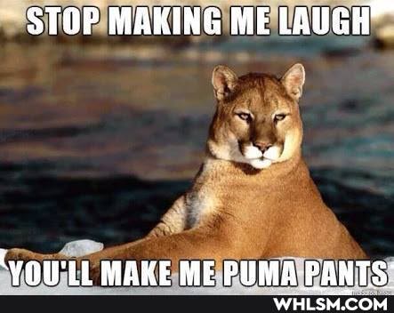 STOP MAKING ME