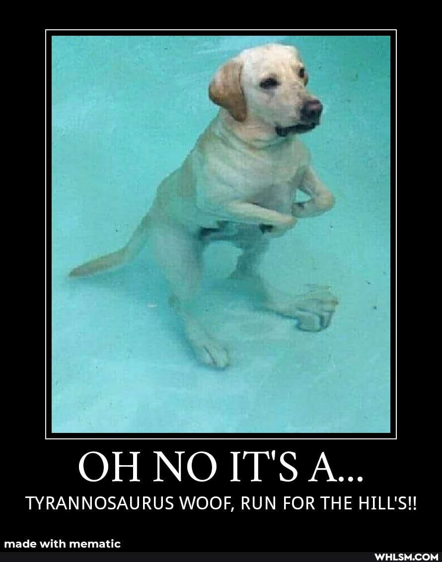 OH NOIT'S A...
TYRANNOSAURUS WOOF, RUN FOR THE HILL'S!!
made with mennatic