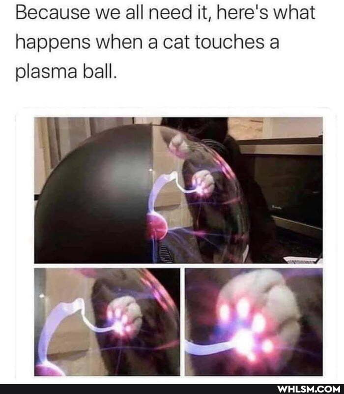 Because we all need it, here's what happens when cat touches plasma ball.