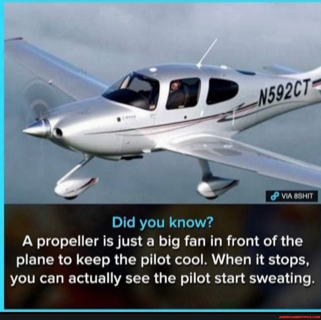 VIA 6SHIT
Did you know?
A propeller is just a big fan in front of the plane to keep the pilot cool. When It stops, you can actually see the pilot start sweating.