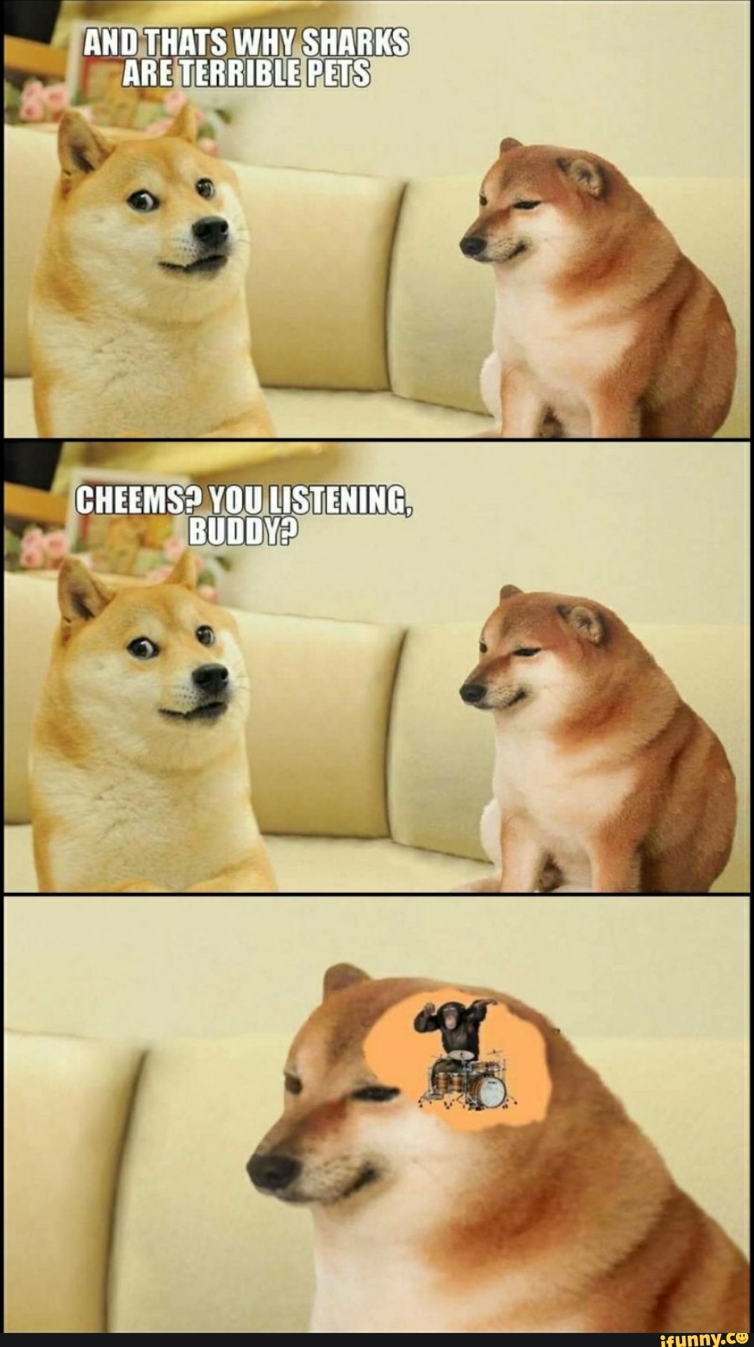 AND THATS WHY SHARKS ARE TERBIBLE PETS CHEEMS? YOU LISTENING. - iFunny