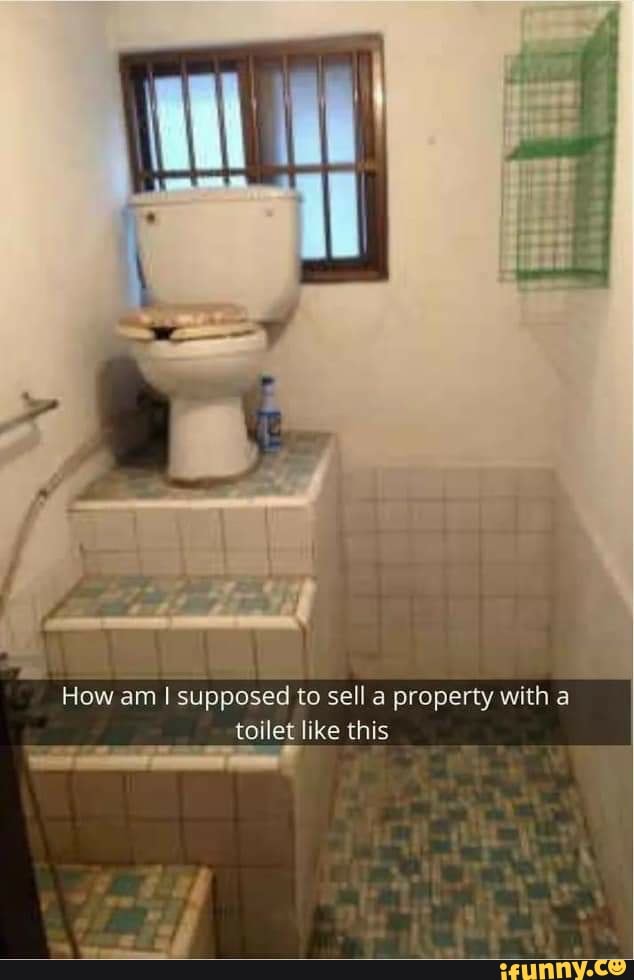 How am I supposed to sell a property with a
toilet like this