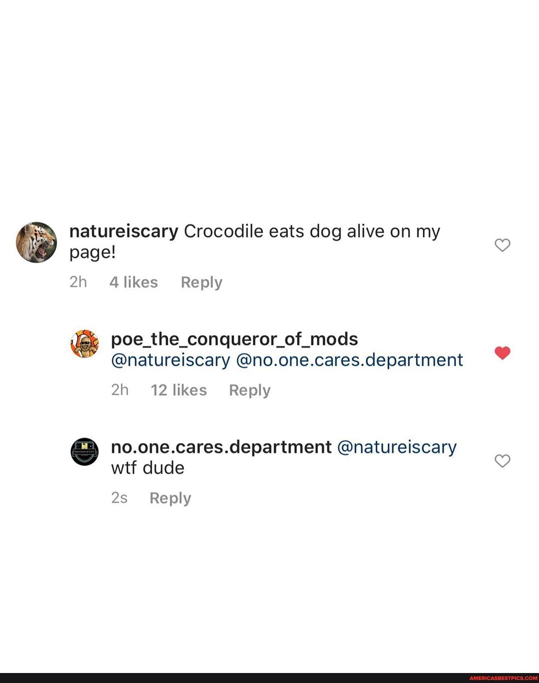 natureiscary Crocodile eats dog alive on my page!
4likes Reply
poe_the_conqueror_of_mods
@natureiscary @no.one.cares.department
12 likes Reply
no.one.cares.department @natureiscary wtf dude
Reply