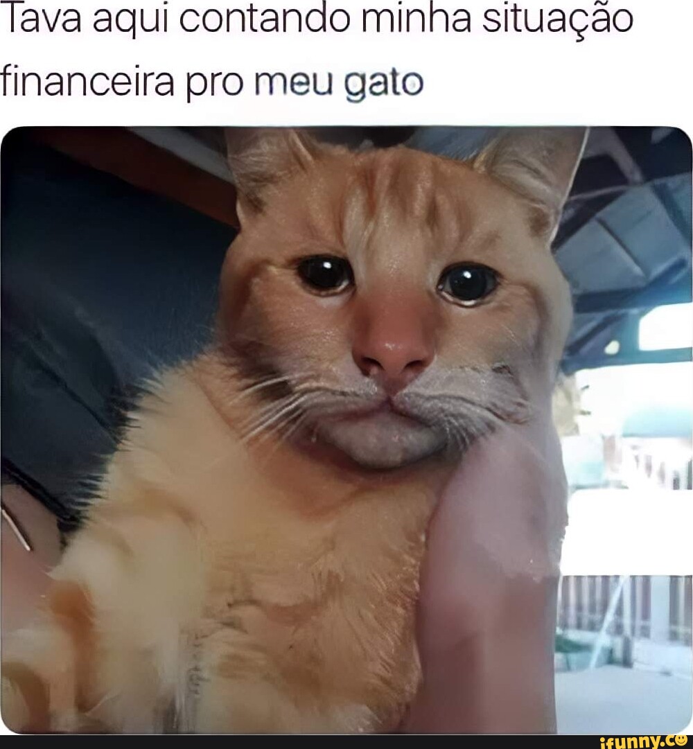 Financeiro Memes Best Collection Of Funny Financeiro Pictures On IFunny Brazil