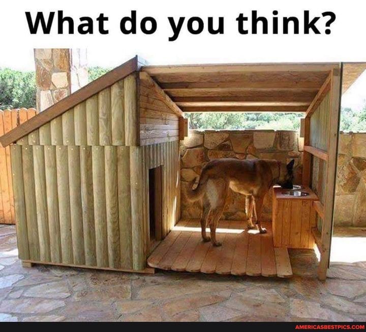 What do you think?