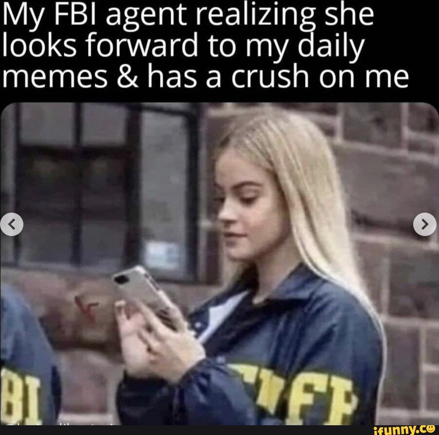 My Fbi Agent Realizing She Looks Forward To My Daily Memes And Has A Crush On Me