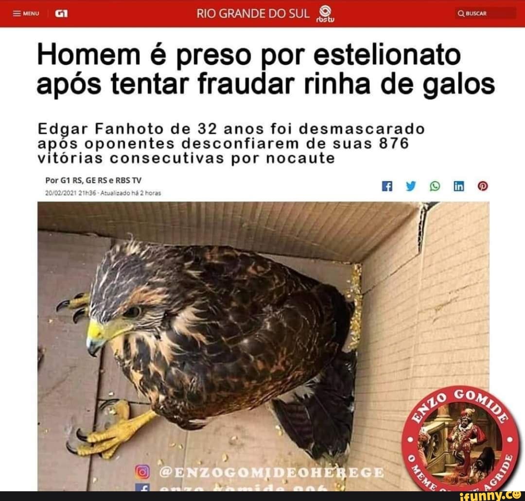 RIO GRANDE DO SUL
Homem é preso por estelionato após tentar fraudar rinha de galos
Edgar Fanhoto de 32 anos foi desmascarado apos oponentes desconfiarem de suas 876 vitórias consecutivas por nocaute
Por G1RS, GERSeRBSTV
AMES Atualizado há horas