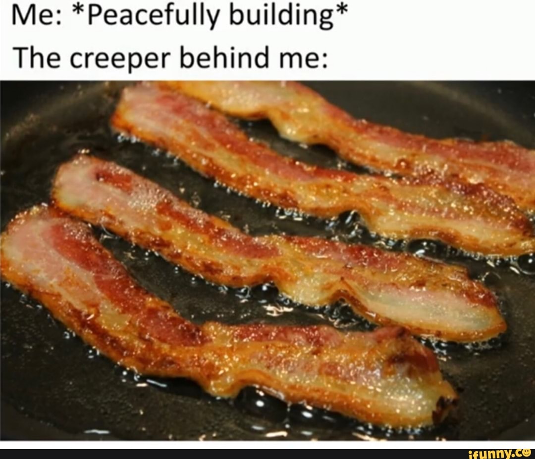 Me: *Peacefully building*
The creeper behind me:
I