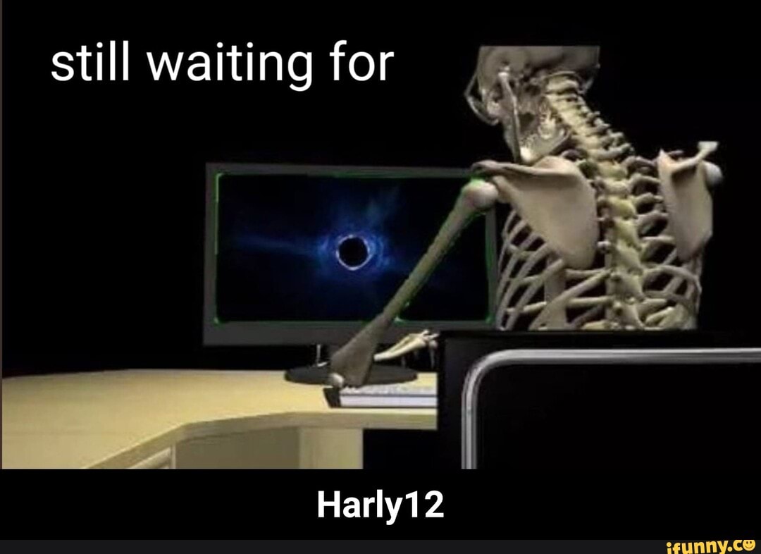 still waiting skeleton computer