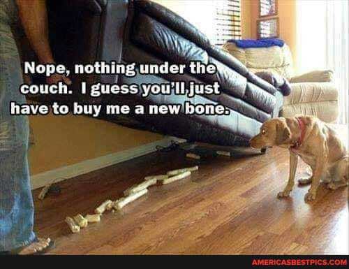 Nope, nothing, under the' couch. guess yous just
have to buy me a new bo!