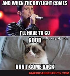 AND WHEN THE DAYLIGHT COMES
PLLHAVE TO GO GOOD