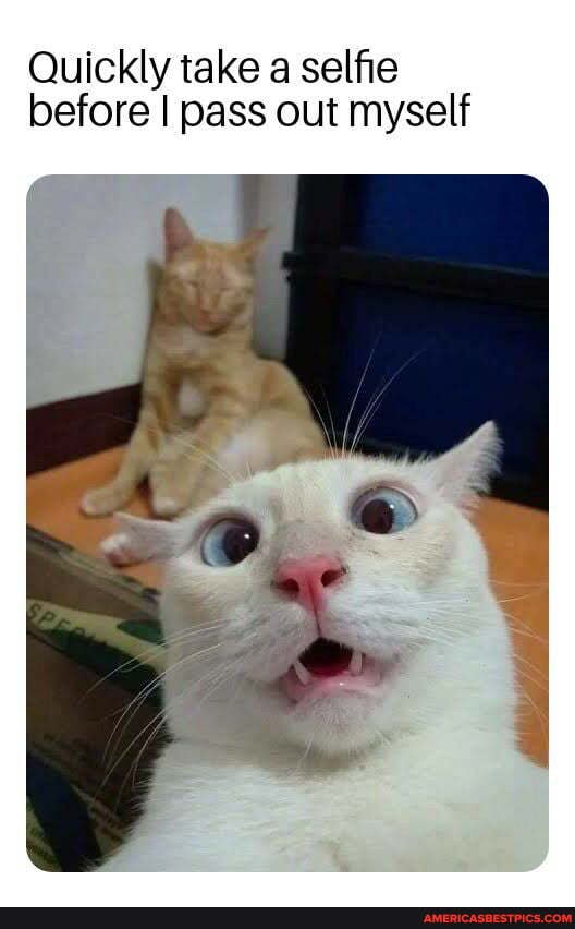 Quickly take a selfie before I pass out myself
