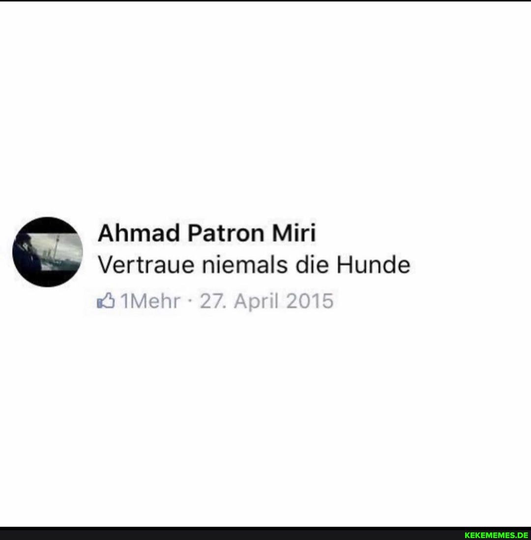 Ahmad Patron Miri
Vertraue niemals die Hunde
1Mehr