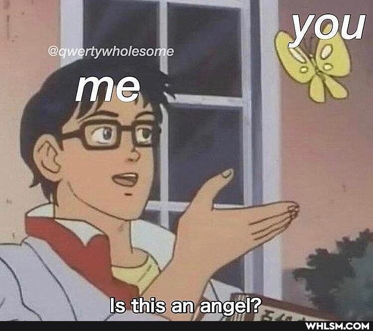 me
ar
le thic an angel?
you