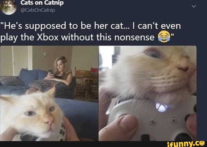 GUESS WHAT I FORGOT TO WEAR TODAY... - iFunny