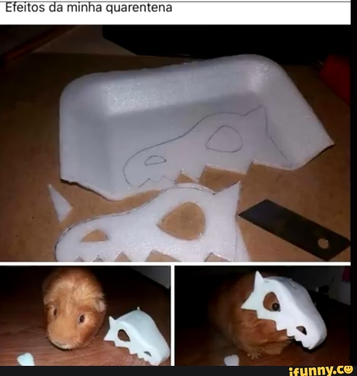 Efeitos da minha quarentena