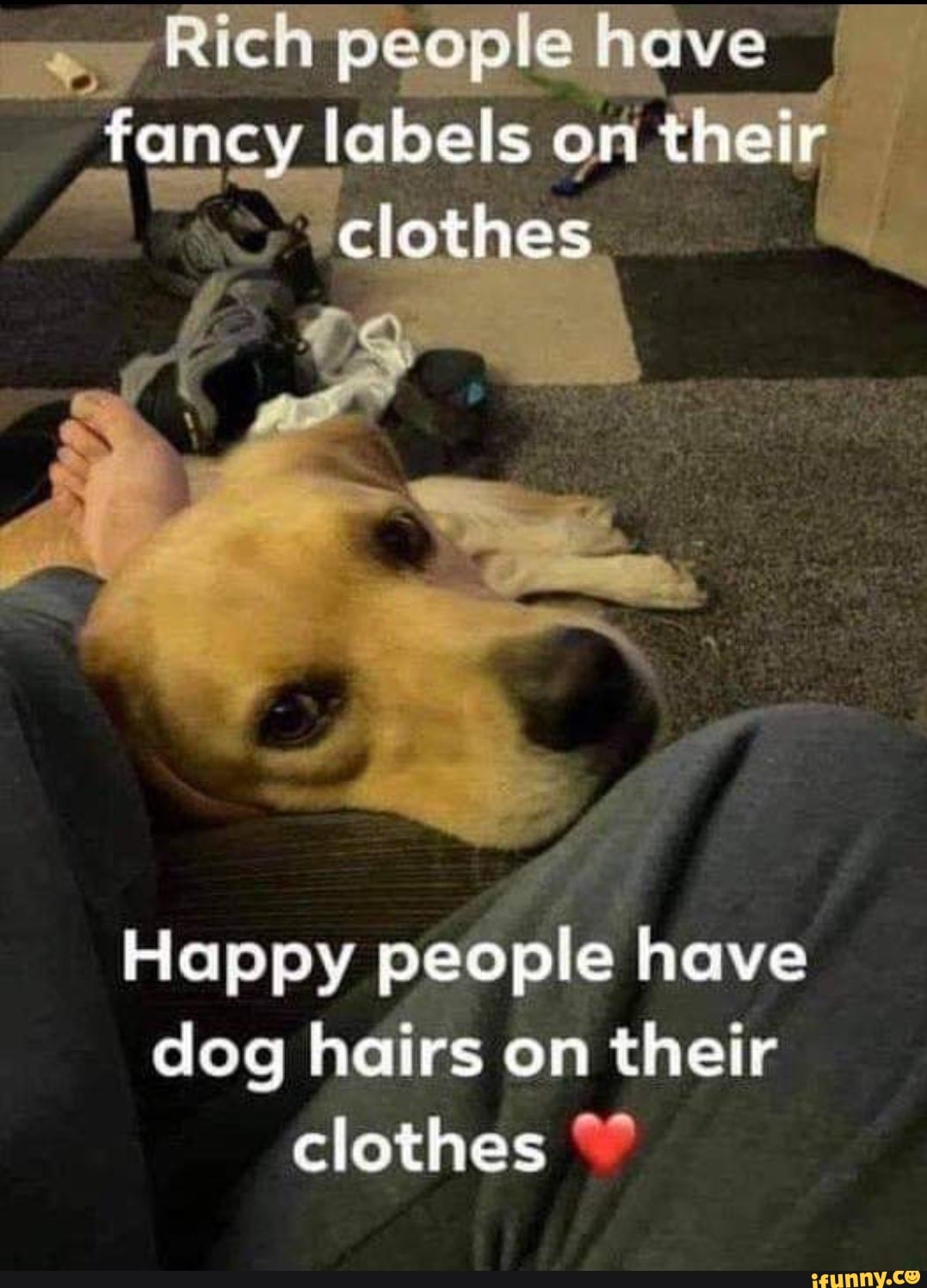 Rich people have fancy labels on their clothes Happy people have dog