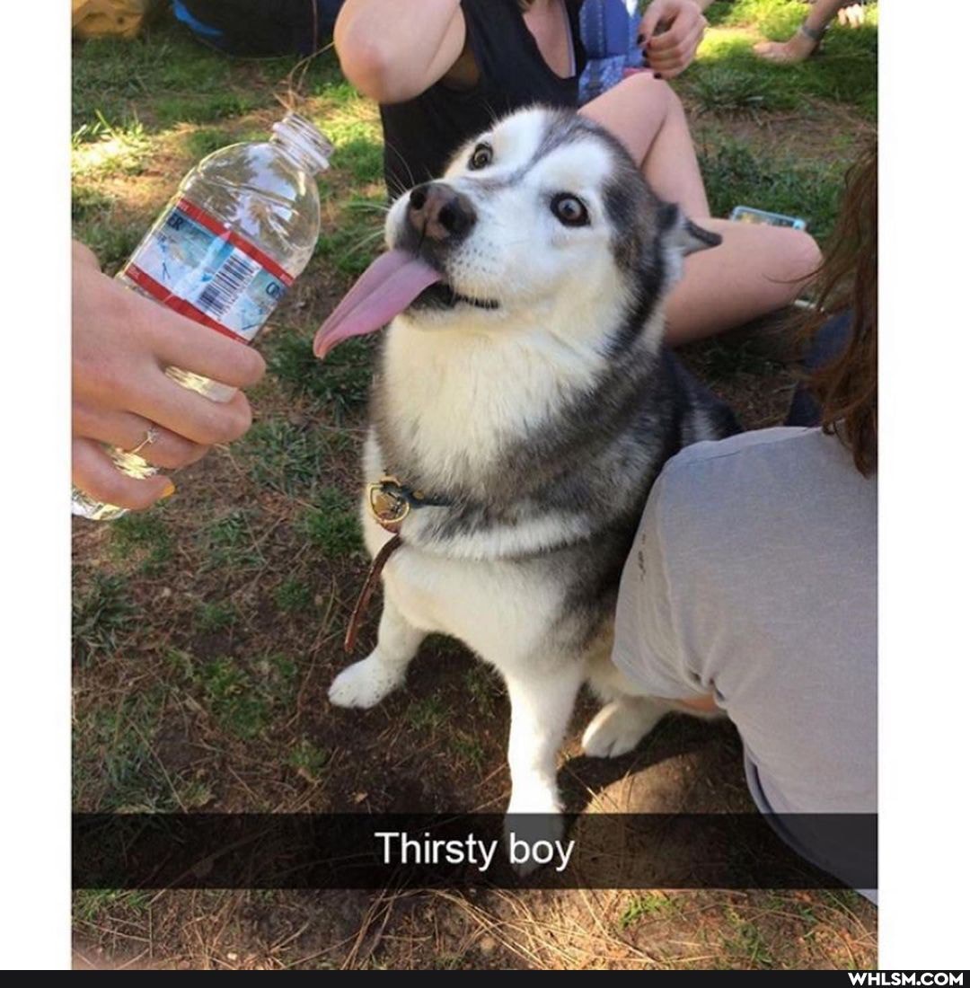 Thirsty boy