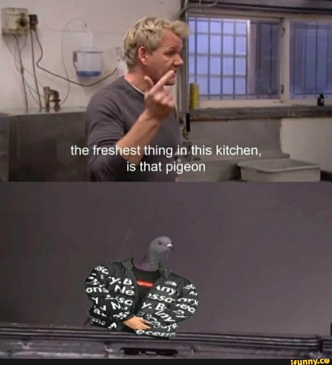 the freshest thing in this kitchen, is that pigeon