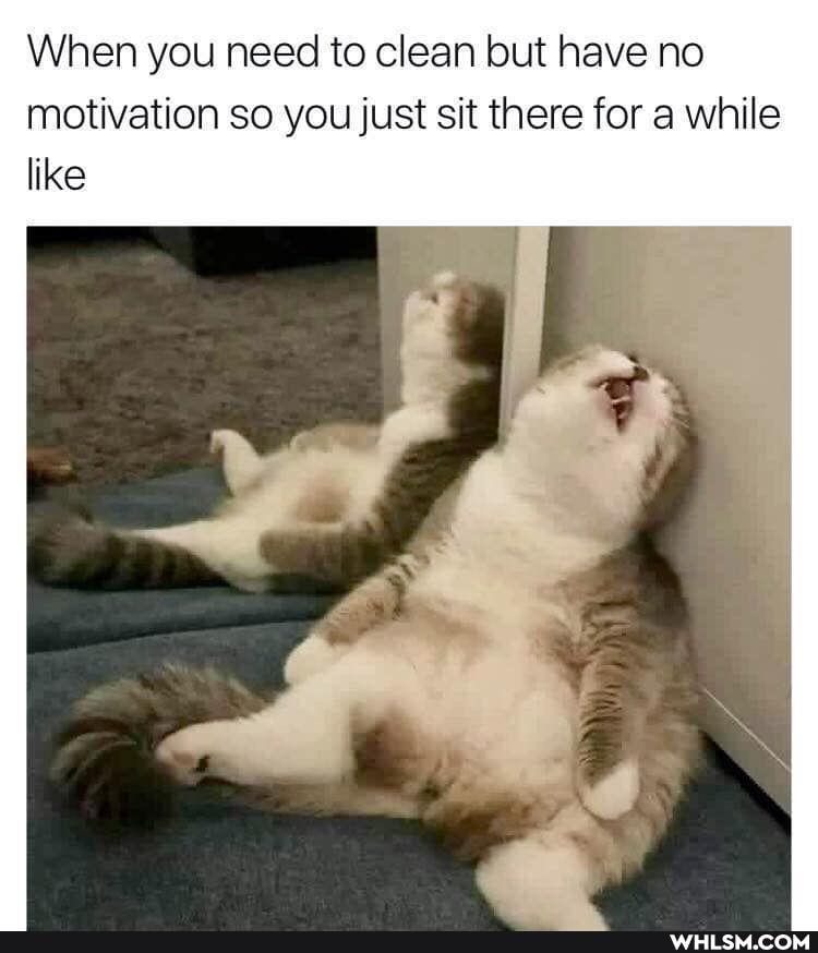 When you need to clean but have no motivation so you just sit there for a while like