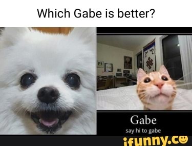 Which Gabe is better?