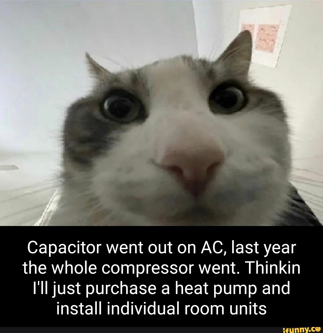 Capacitor went out on AC, last year the whole compressor went. Thinkin I'll just purchase a heat