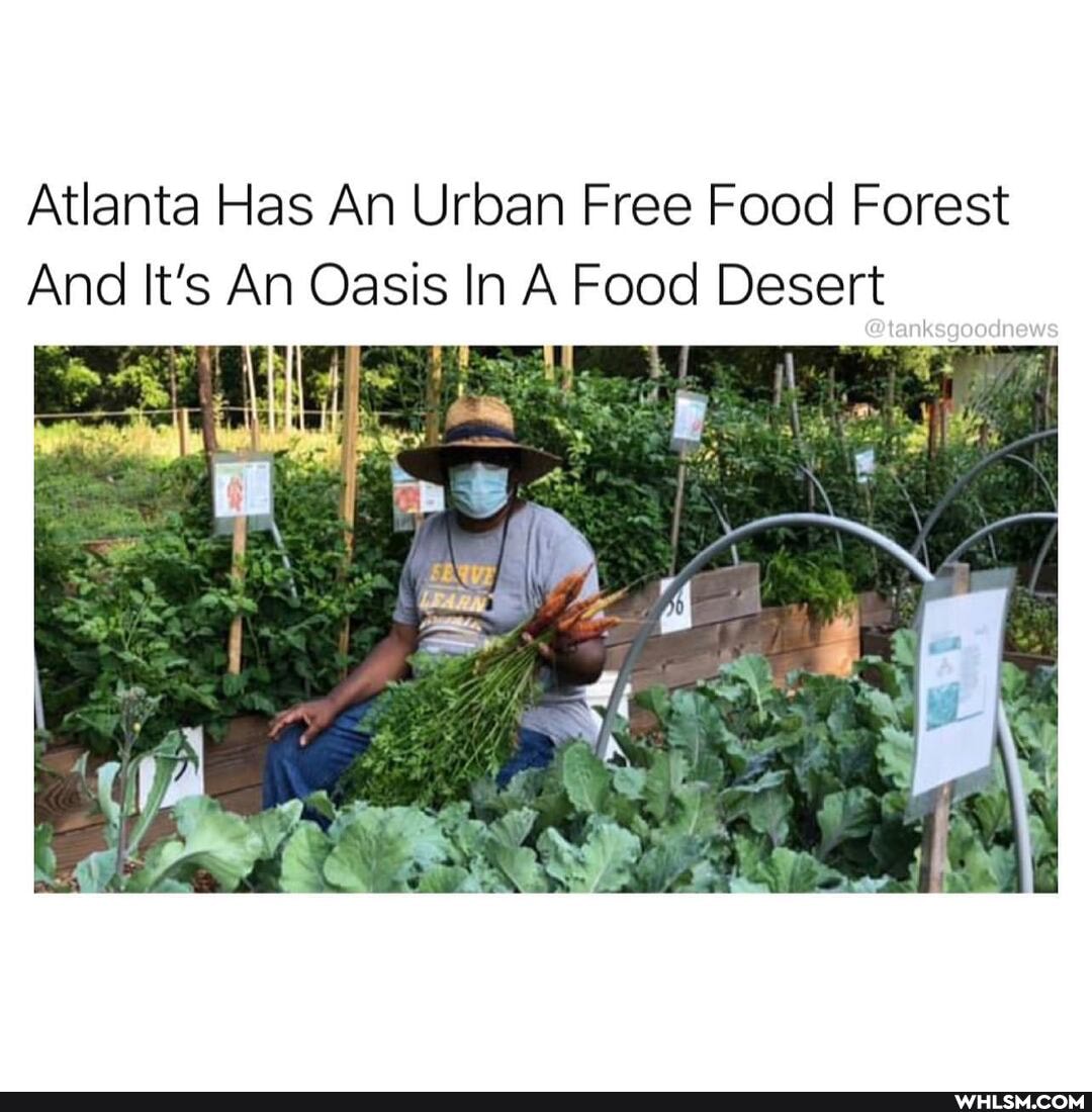 Atlanta Has An Urban Free Food Forest
And It's An Oasis In A Food Desert
nkegoodnews