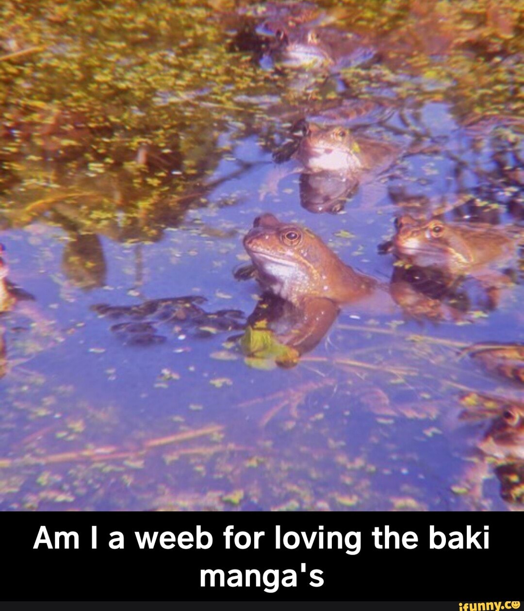 Am I a weeb for loving the baki
manga's - Am I a weeb for loving the baki manga's