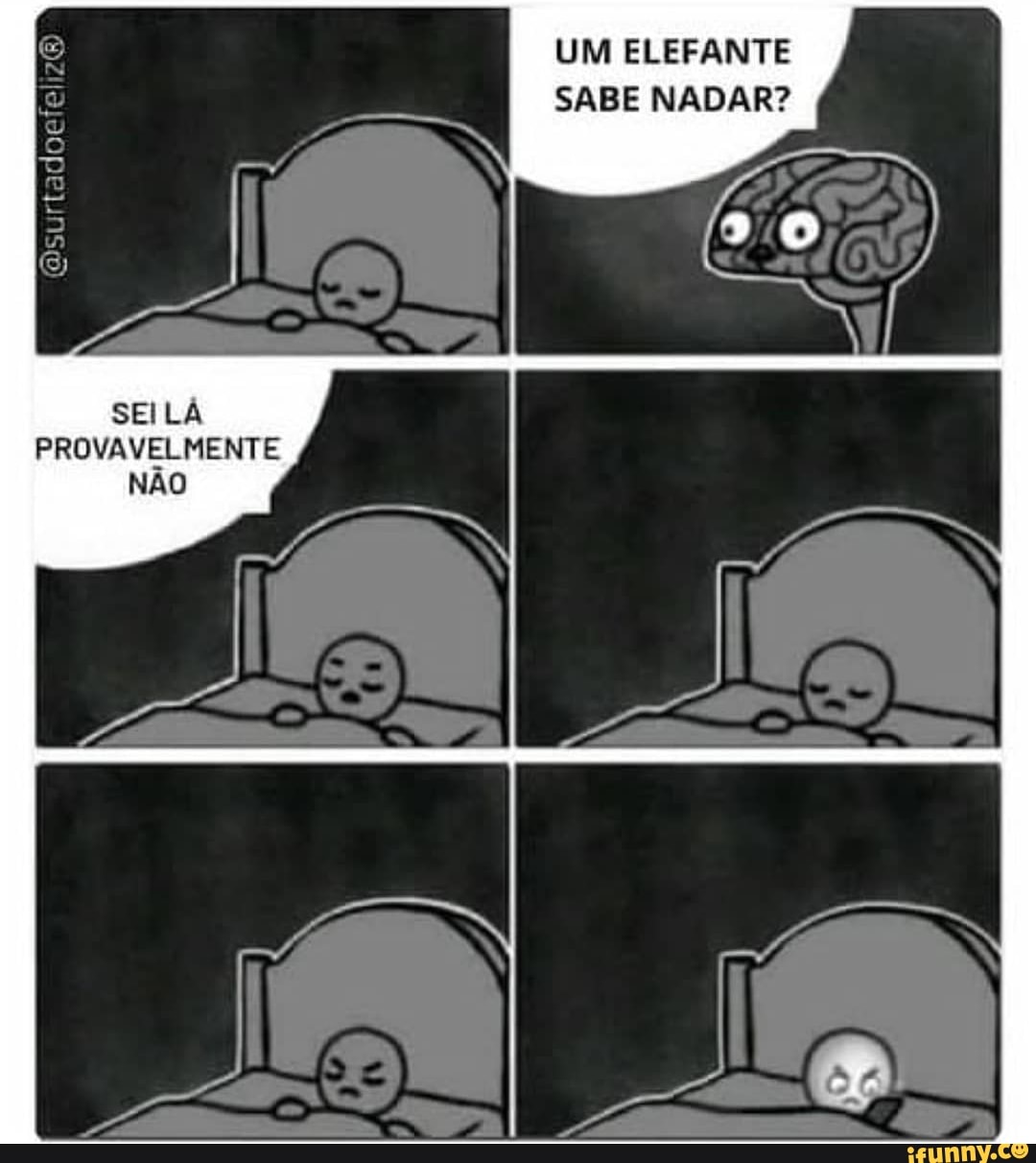 UM ELEFANTE SABE NADAR?
(surtadoefeliz&
SEILA PROVAVELMENTE NAO