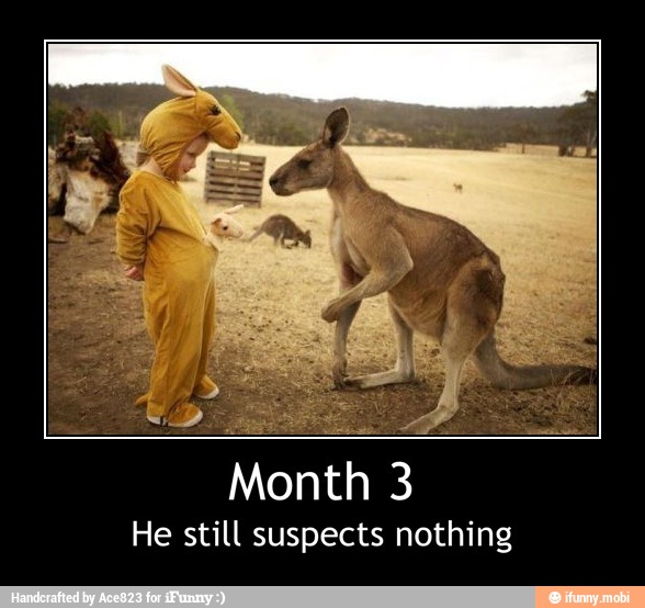 He still suspects nothing - Month 3
He still suspects nothing