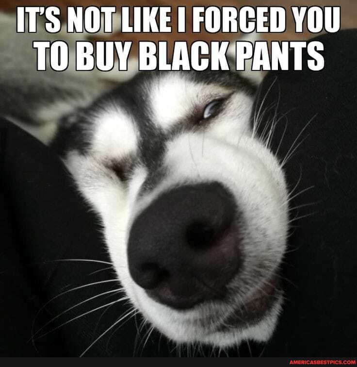ITS NOT LIKE FORCED YOU TO BUY BLACK PANTS
