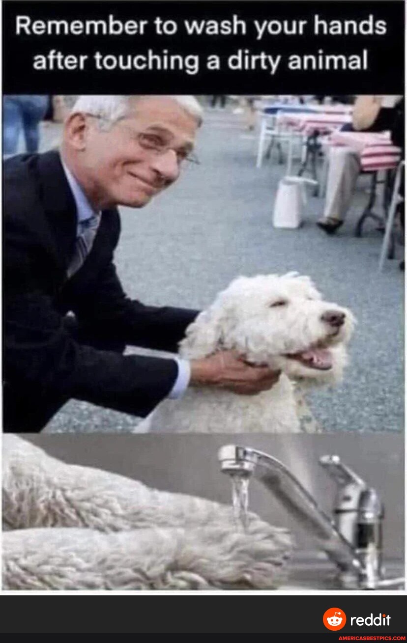Remember to wash your hands after touching a dirty animal reddit