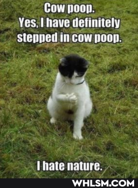 Cow noop.
Yes, have definitely stenned in cow poop.
Lhate nature