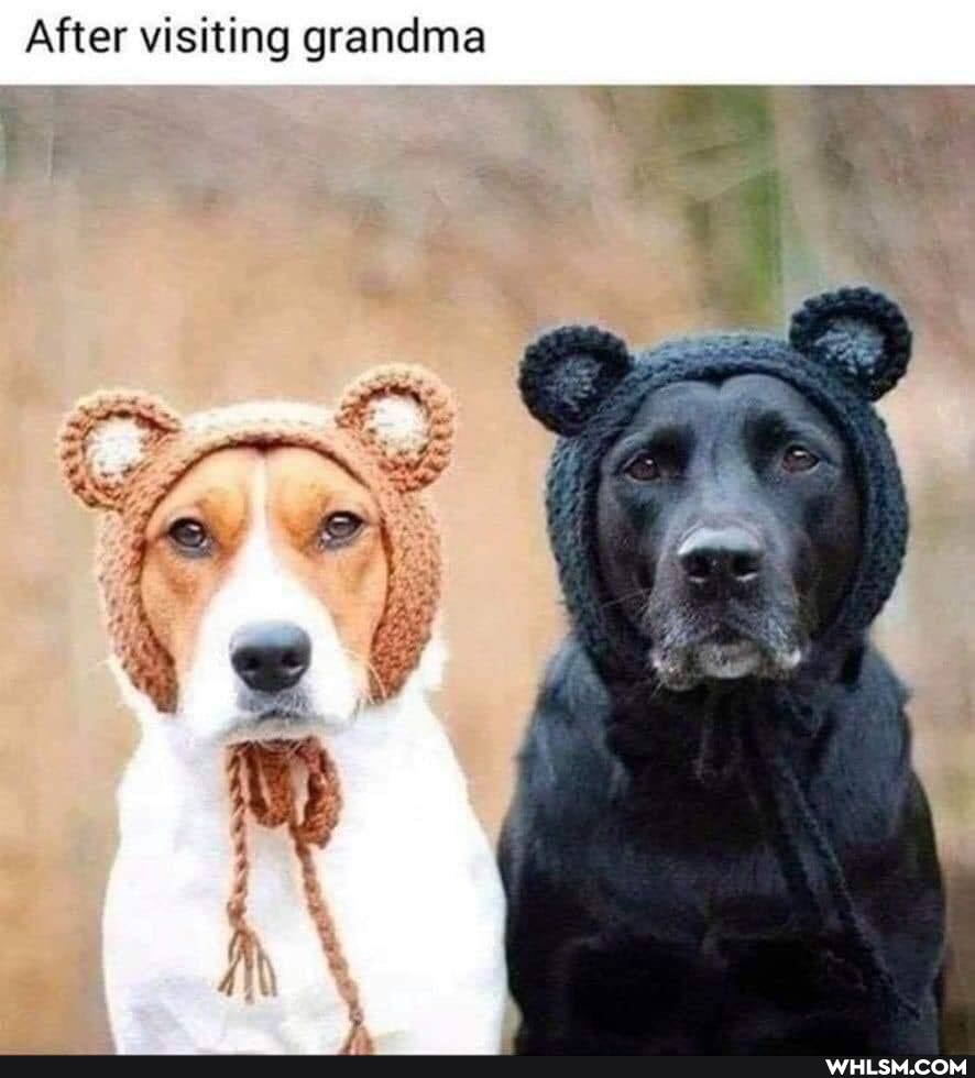 After visiting grandma