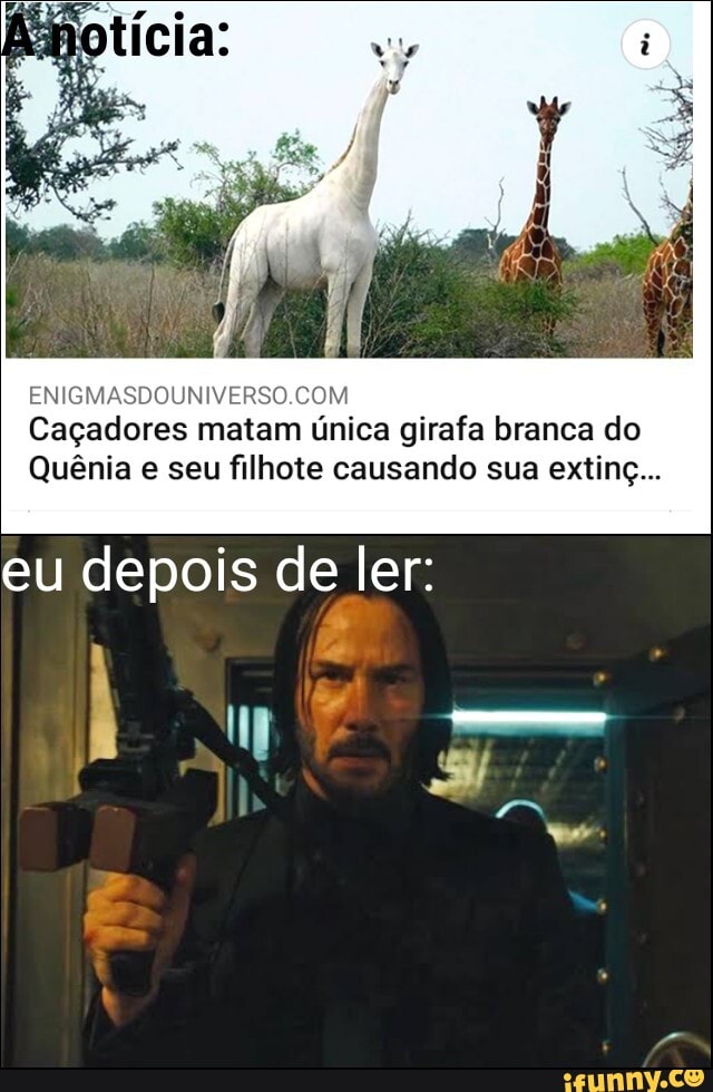Caçadores matam única girafa branca do
Quênia e seu filhote causando sua extinç...
eu depois de ler: