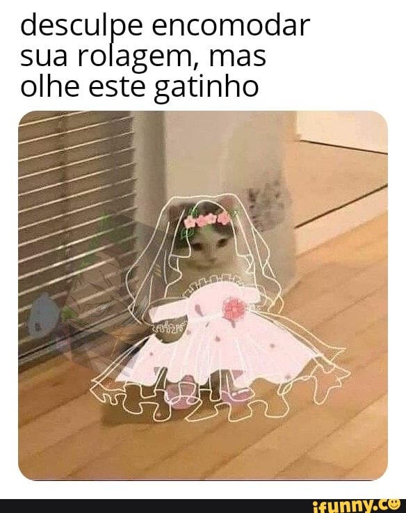 desculpe encomodar sua rolagem, mas olhe este gatinho
Es