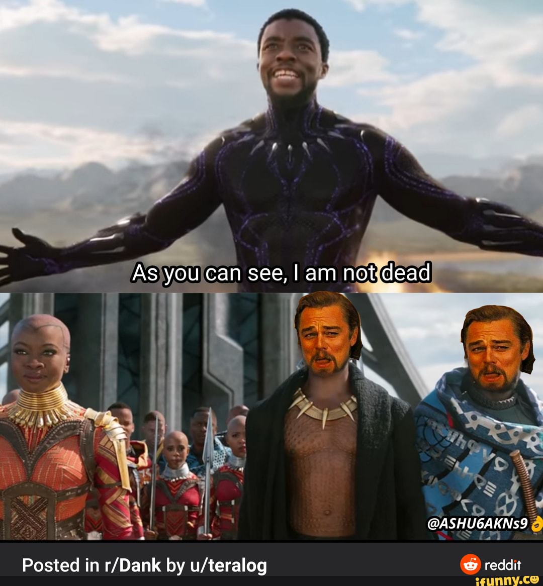 As You Can See Am Not Dead Aw Ashu6akns9 Posted In By Reddit