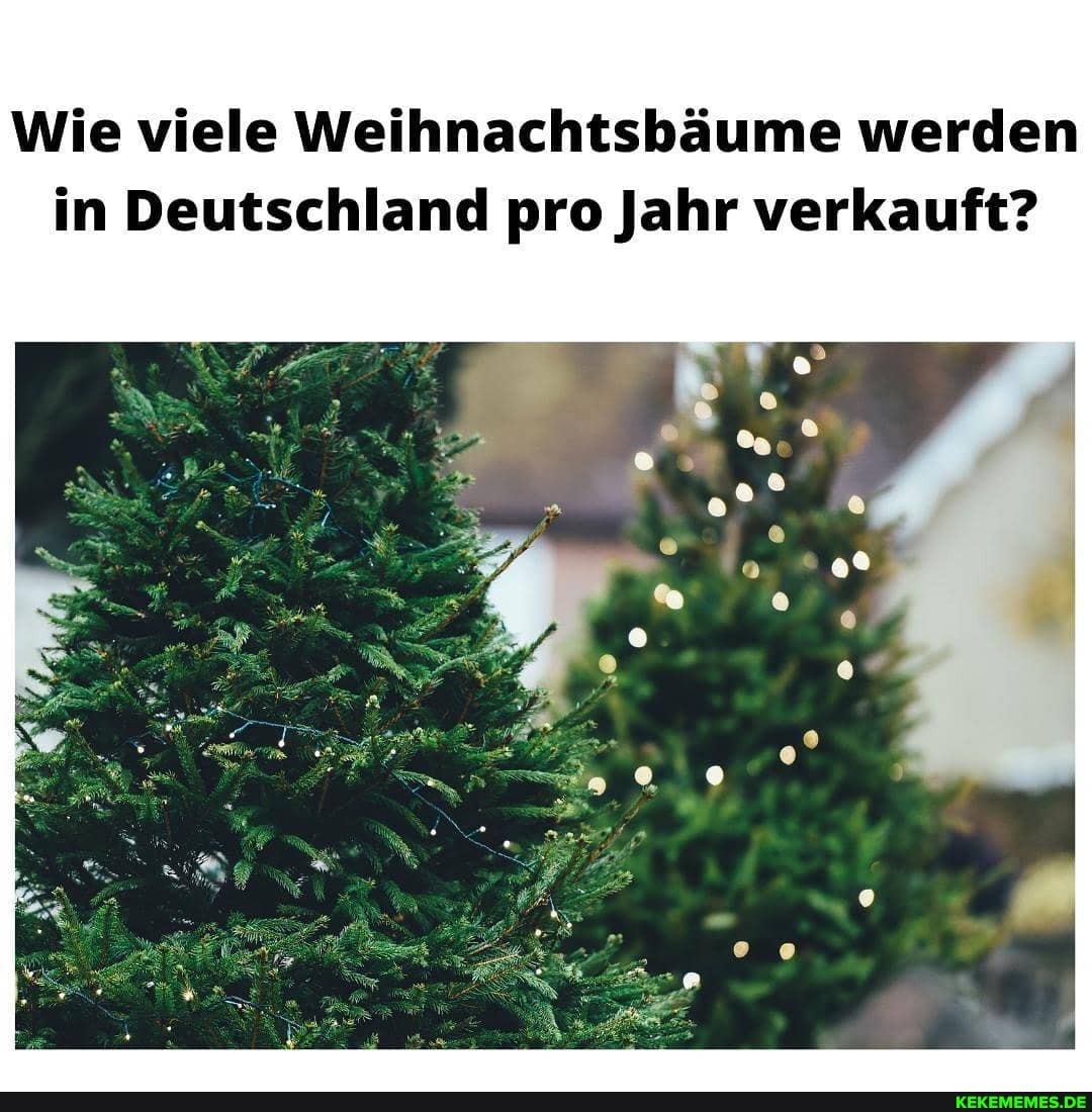 Wie viele Weihnachtsbäume werden in Deutschland pro Jahr verkauft?