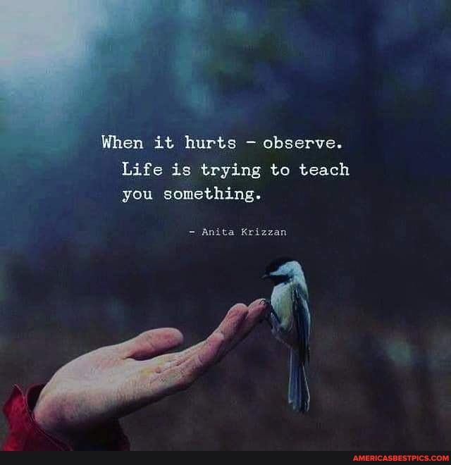 When it hurts observe.
Life is trying to teach you something.
Anita Krizzan