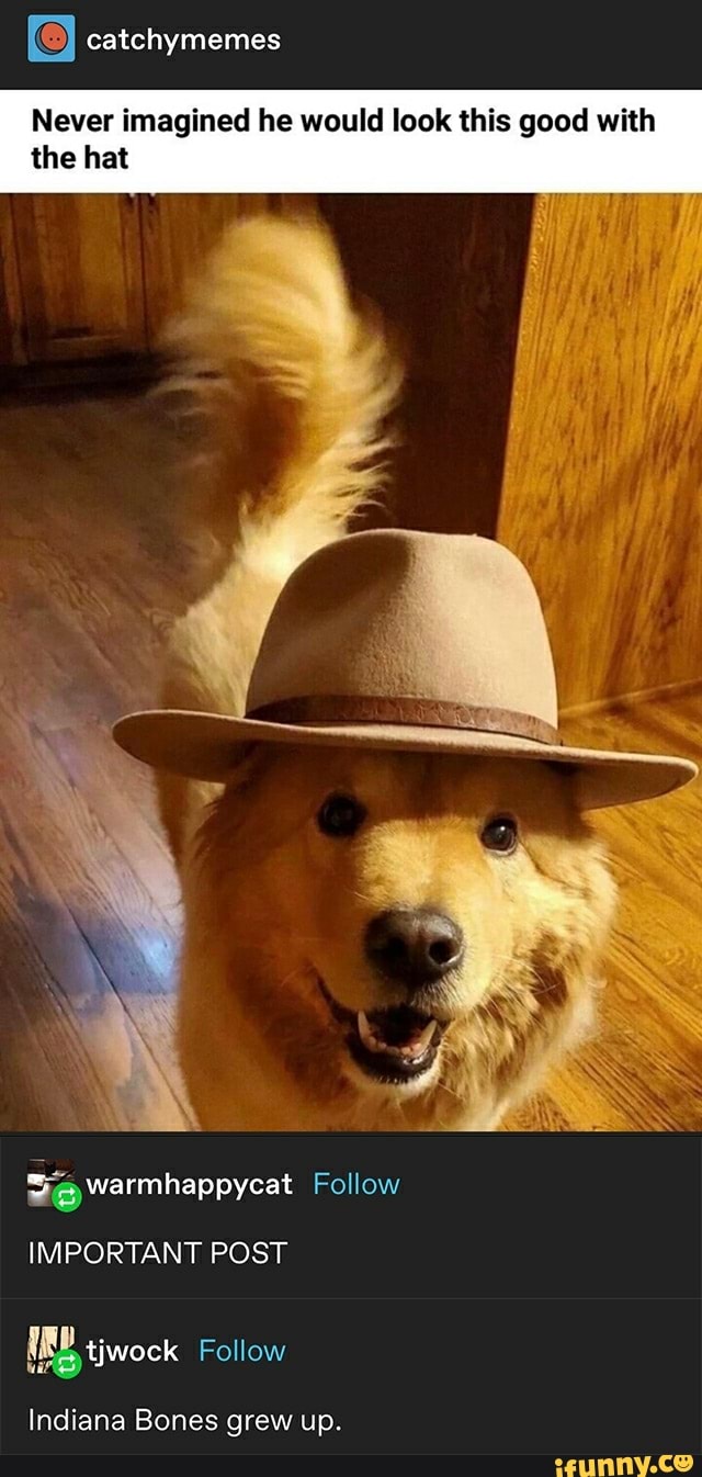 Never imagined he would look this good with
the hat
Si warmhappycat Follow