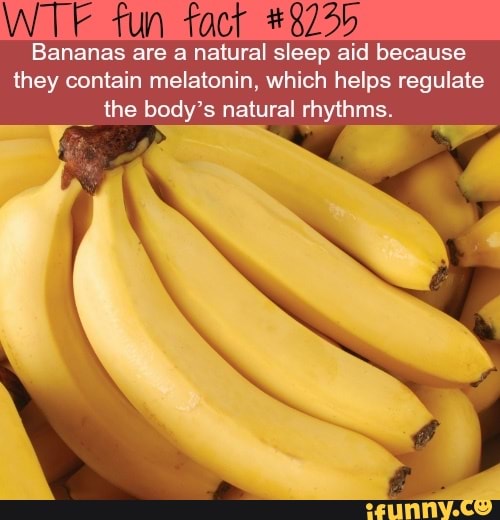 Fun Bananas are a natural sleep aid because they contain melatonin