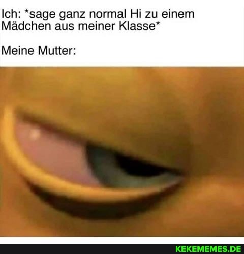 Ich: *sage ganz normal Hi zu einem
Mädchen aus meiner Klasse*
Meine Mutter: