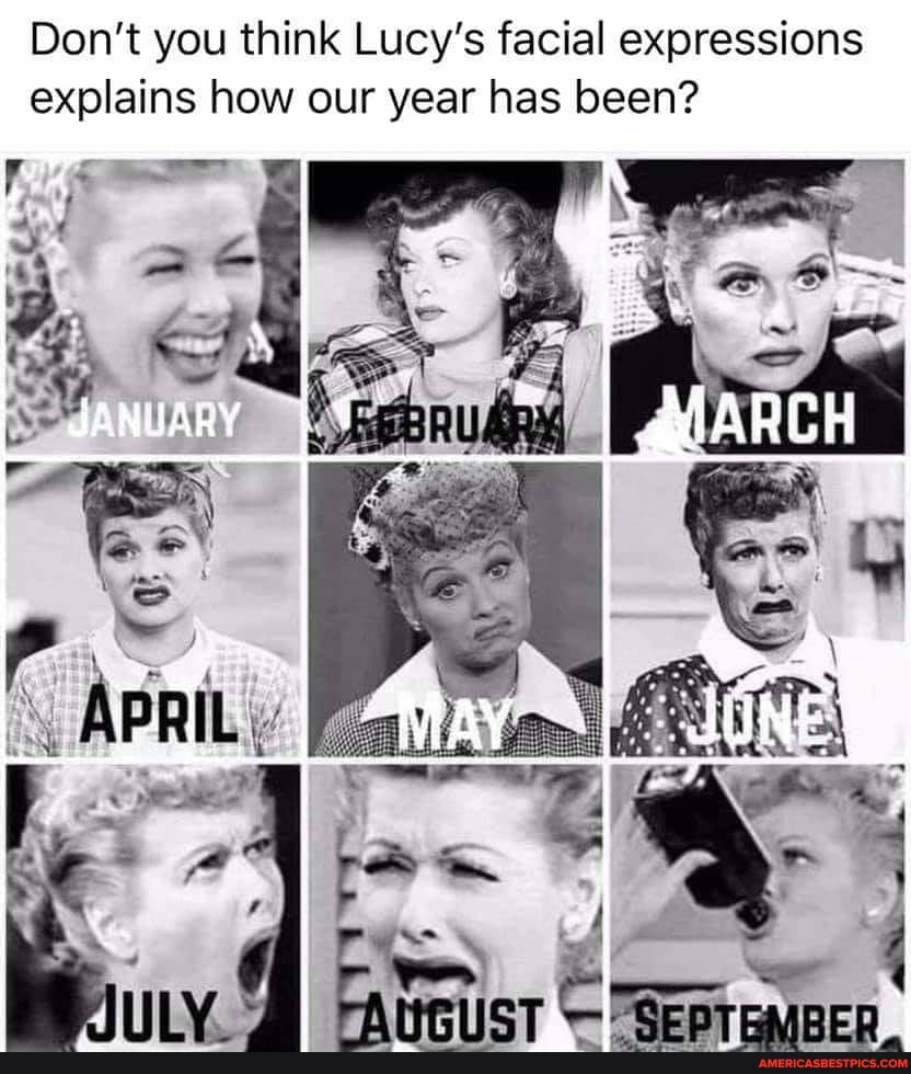 Don't you think Lucy's facial expressions explains how our year has been?