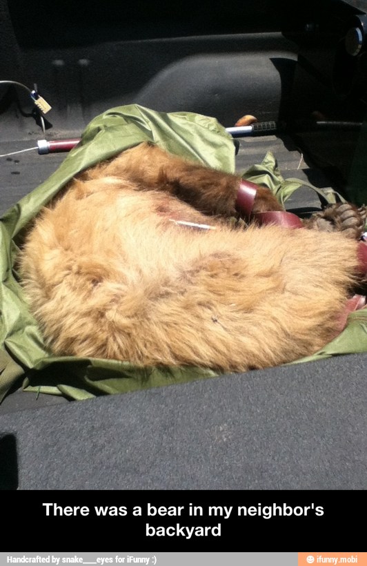 There was a bear in my neighbor's
backyard - There was a bear in my neighbor's backyard
