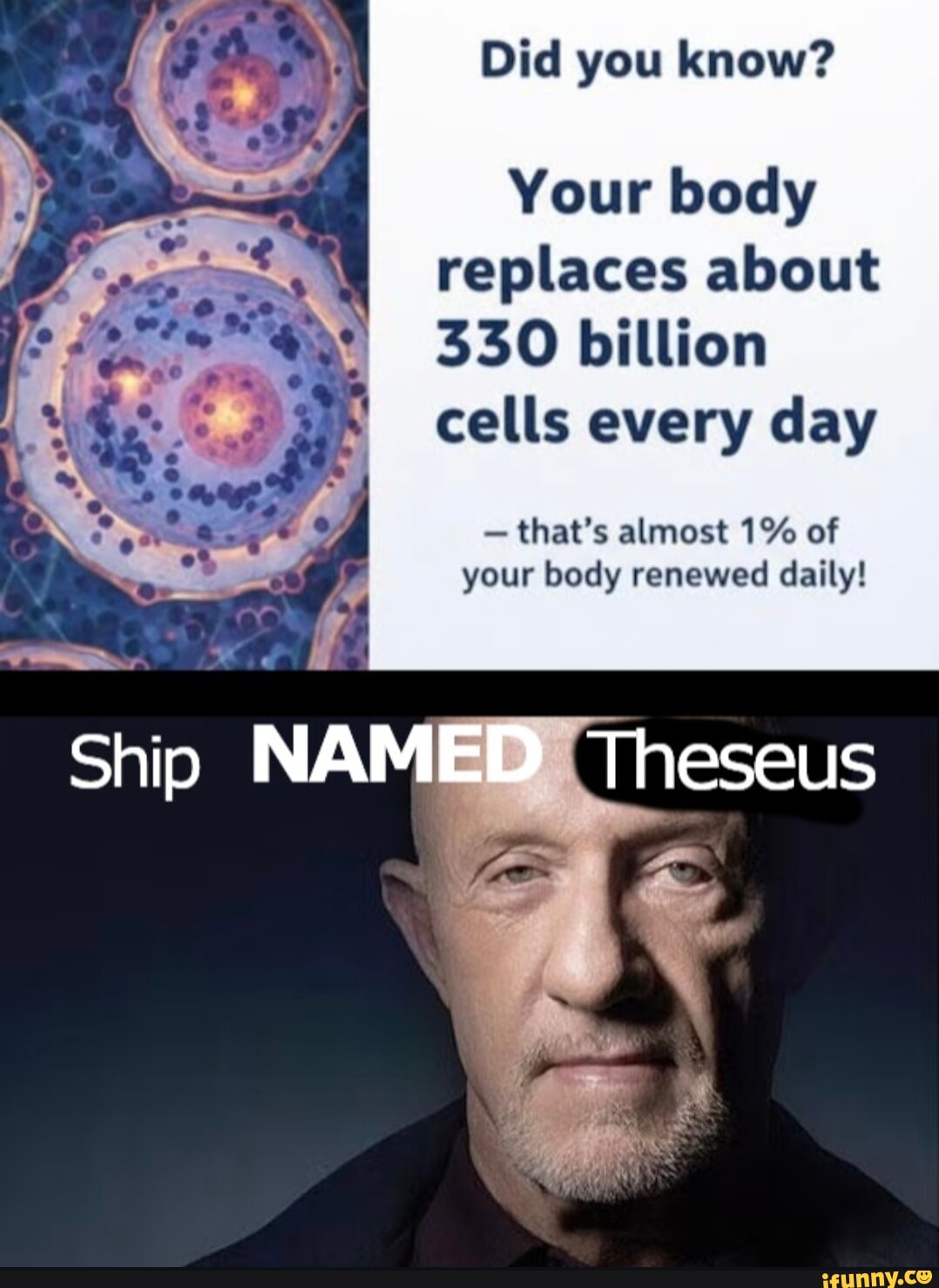Did you know? I Your body replaces about 330 billion cells every day ...