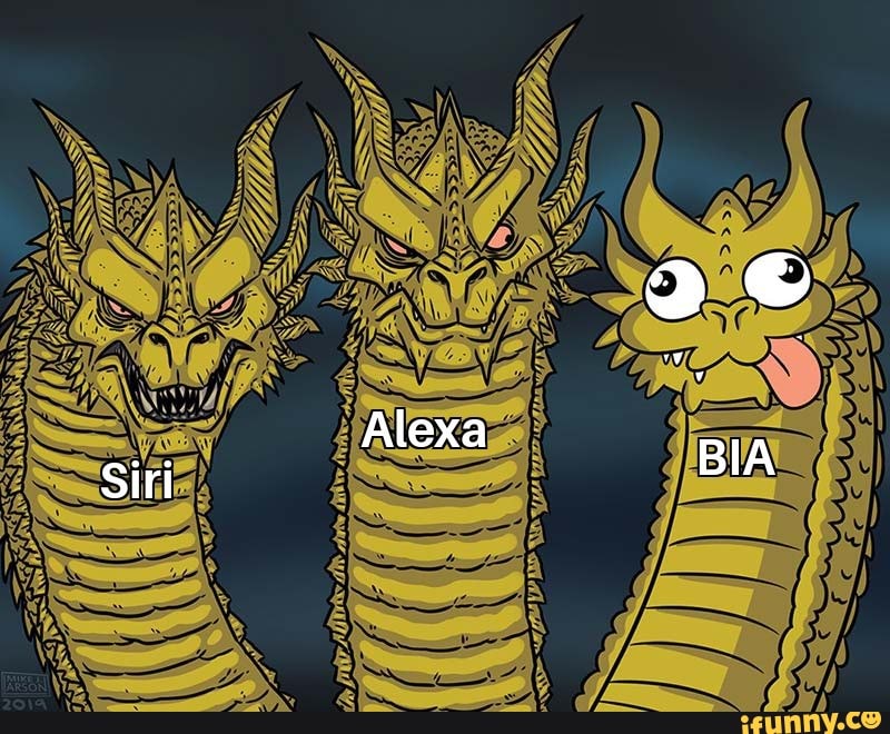 Siri
Alexa
BIA